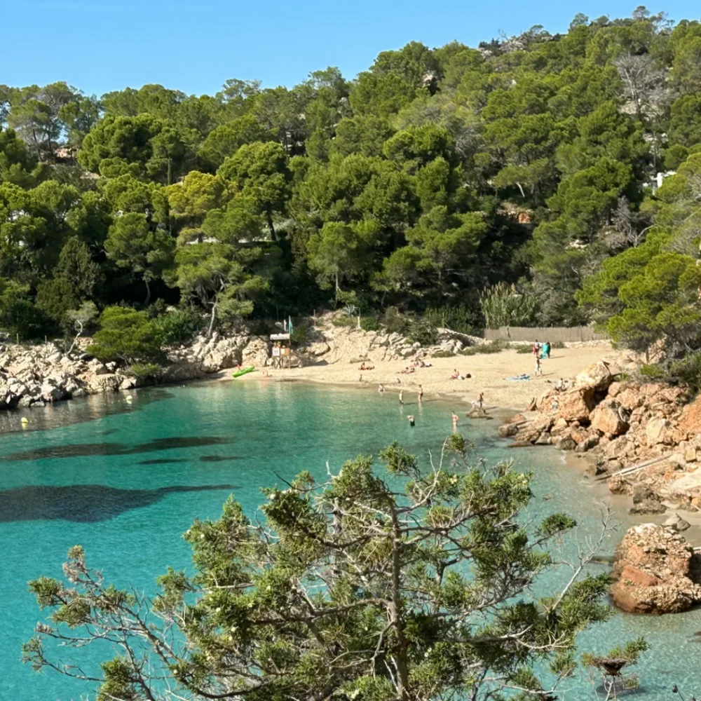 RY-Ibiza-102026-strand